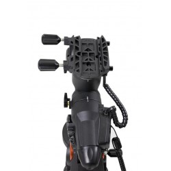 Celestron Advanced VX